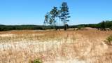 102 Hugh White State Park Road - Photo 1