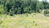 104 Hugh White State Park Road - Photo 10