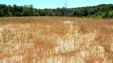 104 Hugh White State Park Road - Photo 2