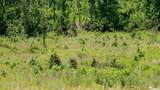 104 Hugh White State Park Road - Photo 4