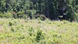105 Hugh White State Park Road - Photo 4
