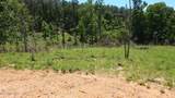 806 Hugh White State Park Road - Photo 6