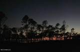 Lot 23 Neptune Shore - Photo 7