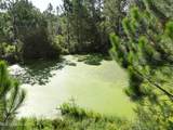 6075 Forrest H Necaise Rd Lot 4 - Photo 4