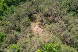  West Boulevard - Photo 1