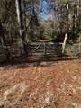Nhn George Wise Road - Photo 1