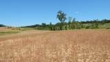 207 Hugh White State Park Road - Photo 8