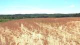 612a Hugh White State Park Road - Photo 5