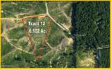 612a Hugh White State Park Road - Photo 8