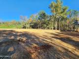 7 Tyro Branch Cove - Photo 7