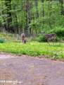 173 Cypress Corner Road - Photo 36
