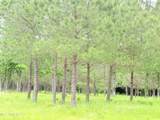 Stout Farms Drive - Photo 7