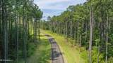  Springwood Trail - Photo 36