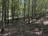  Race Track Road - Photo 10