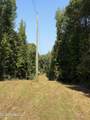  Race Track Road - Photo 11