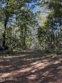  Race Track Road - Photo 12
