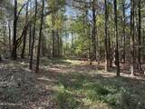  Race Track Road - Photo 14