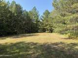  Race Track Road - Photo 15