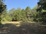  Race Track Road - Photo 18