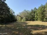  Race Track Road - Photo 19