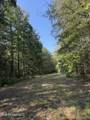  Race Track Road - Photo 20