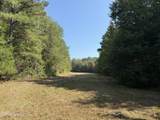  Race Track Road - Photo 21