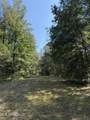  Race Track Road - Photo 24