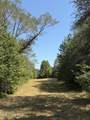  Race Track Road - Photo 25