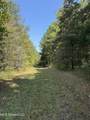  Race Track Road - Photo 26