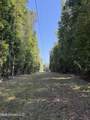  Race Track Road - Photo 28