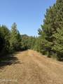  Race Track Road - Photo 29