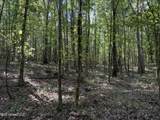  Race Track Road - Photo 31