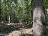  Race Track Road - Photo 32