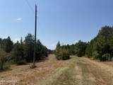  Race Track Road - Photo 33