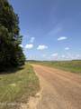  Race Track Road - Photo 34