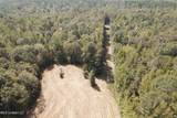  Race Track Road - Photo 37