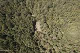  Race Track Road - Photo 39