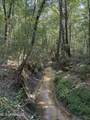  Race Track Road - Photo 4