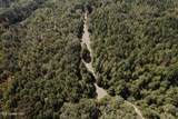  Race Track Road - Photo 40