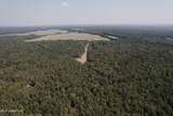  Race Track Road - Photo 43