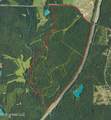  Race Track Road - Photo 44