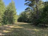  Race Track Road - Photo 8