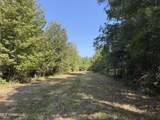  Race Track Road - Photo 9