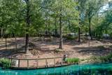 4565 Desoto Road - Photo 6