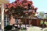 7231 Wind Drive - Photo 38