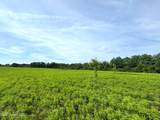  Lester Seals Road - Photo 2