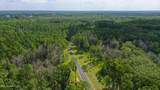  Springwood Trail - Photo 45