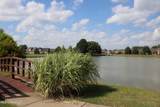 3520 Lindsey Lane - Photo 41