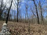  12 Acres Wall Hill Farms Road - Photo 4