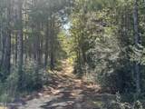  M M Cochran Road - Photo 6